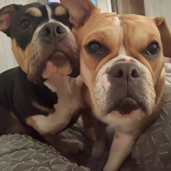 Meet your Posher, Shannon - Picture 2 of 2